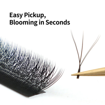 DeceMars 6D-W Shaped Eyelash Extension (12line/Tray)