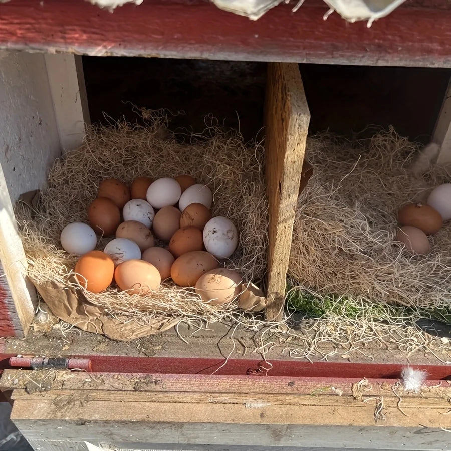 10Pcs/1Pc Nesting Liner Nest Box Chicken Mat, Nest Mat Box Liner, Chicken Coop Chicken Mat, Chick Mat Bird Nest Mat Rabbit Mat