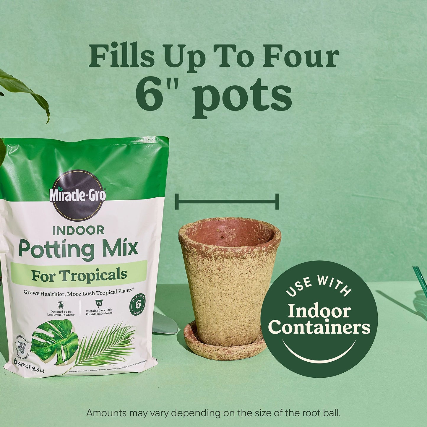 Indoor 6 Quart(S) Tropical and Succulent Potting Soil Mix