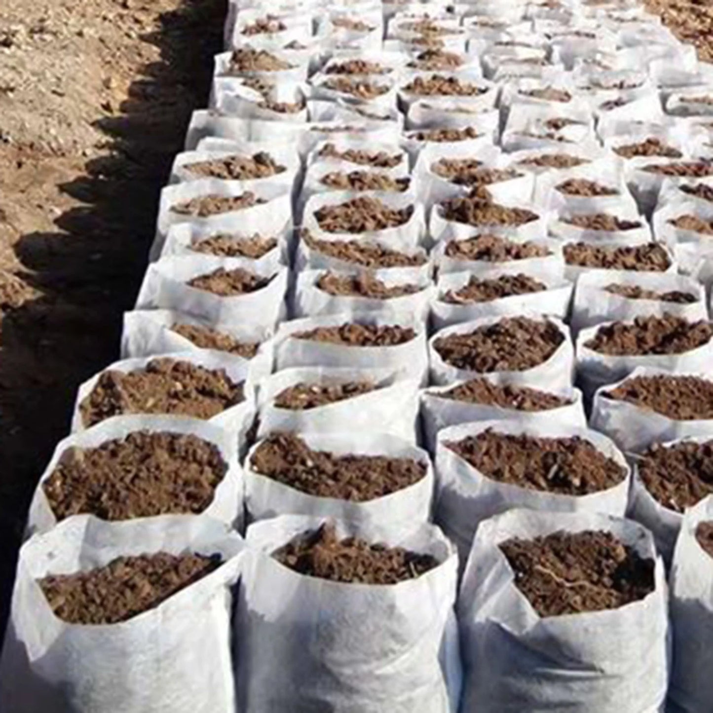 100Pcs Disposable Plant Nursery Bag Great Water Retention Plant Nursery Bag for Improving Plants Survival Rate