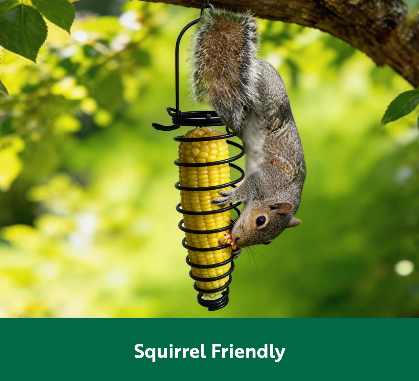 Green Metal Corn Cob Feeder Squirrel Feeder