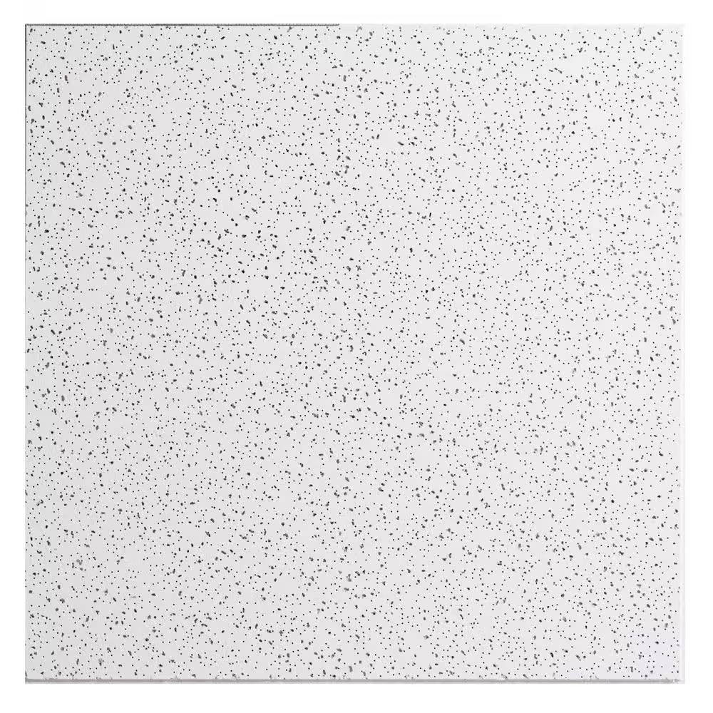 2 Ft. X 2 Ft. Radar Basic White Square Edge Lay-In Ceiling Tile, Case of 4 (16 Sq. Ft.)