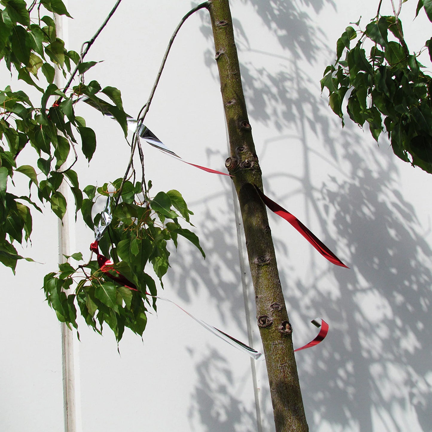 Flash Tape Bird Repellent