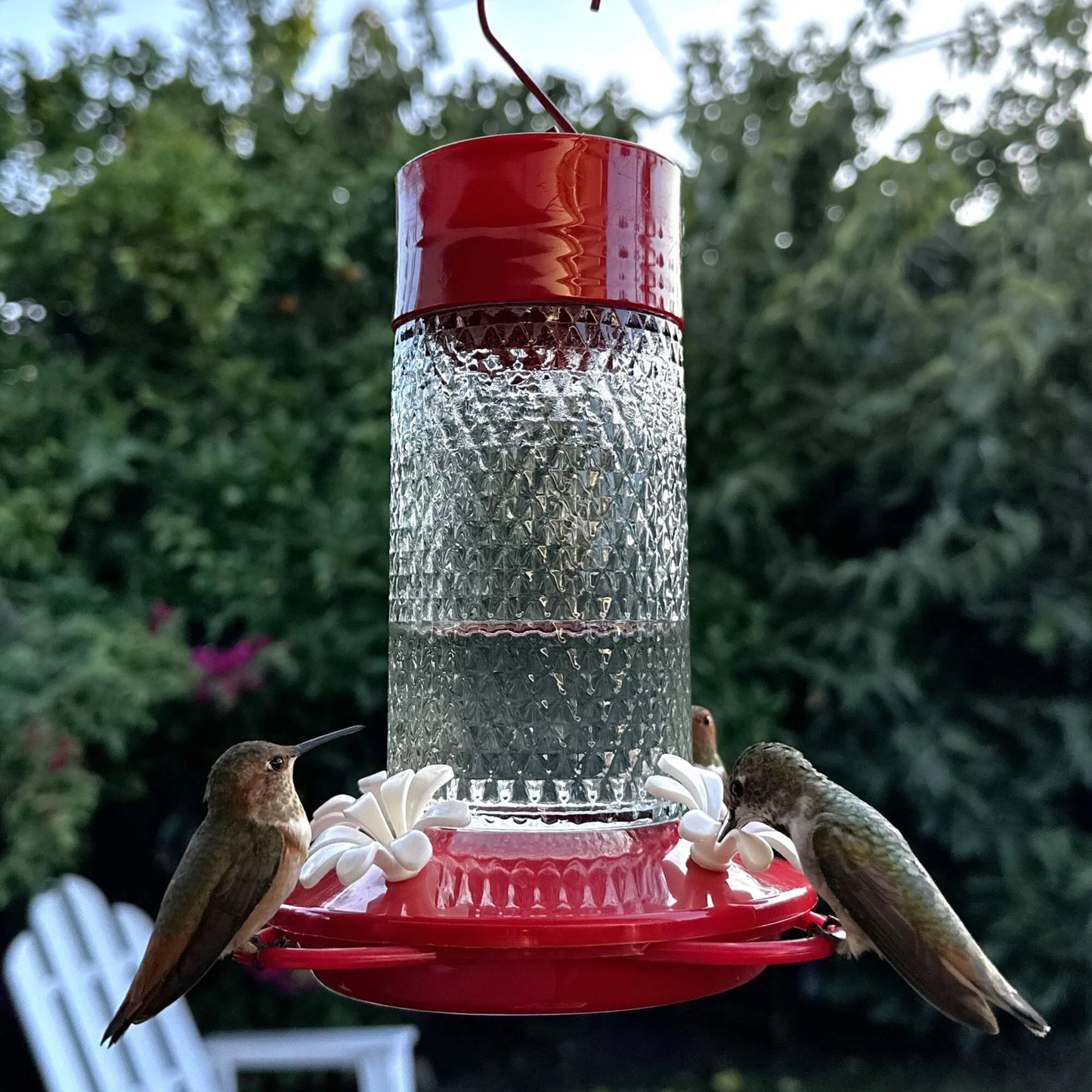 Charming Cherry Glass Hanging Hummingbird Feeder - 13-Oz