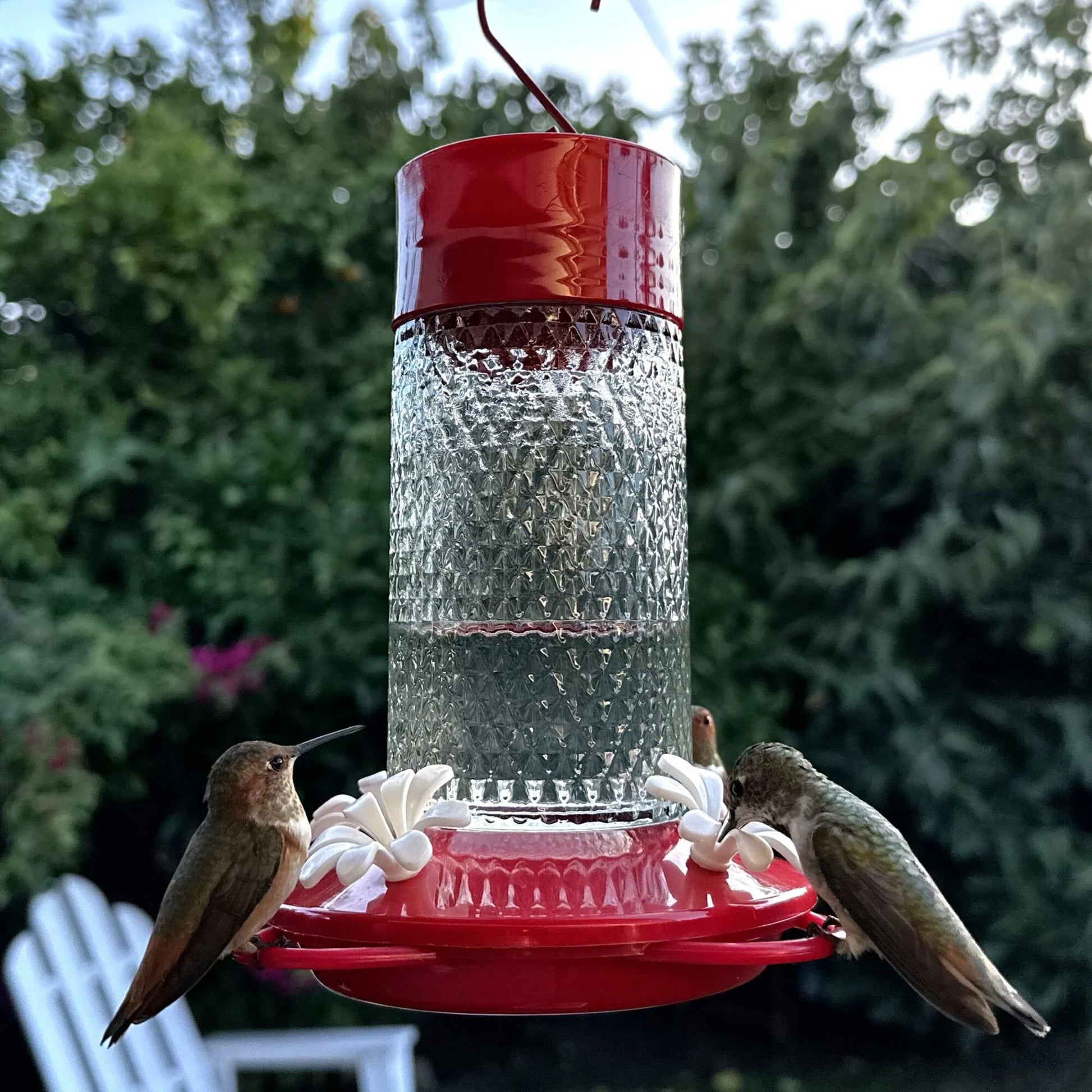 Charming Cherry Glass Hanging Hummingbird Feeder - 13-Oz
