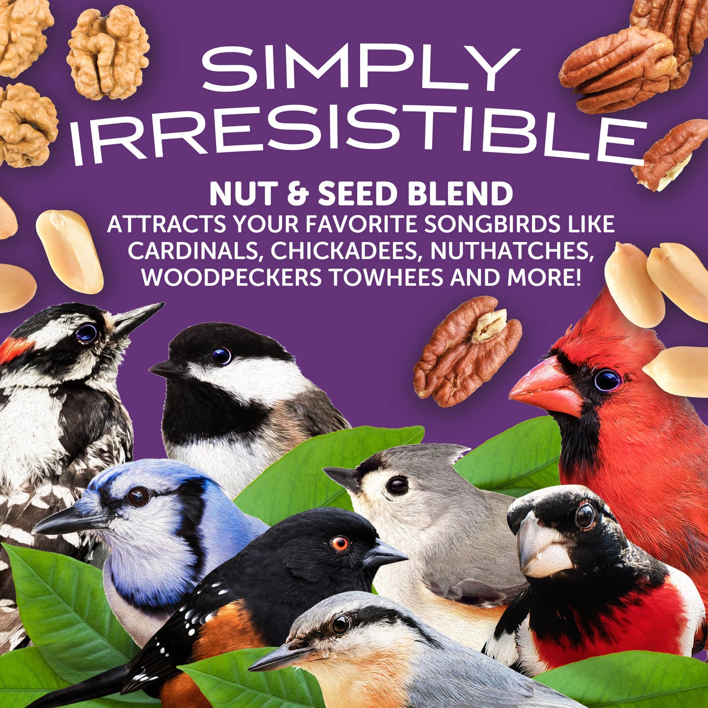 Double Nut Wild Bird Seed Mix with Sunflower Seeds 2.5-Lb