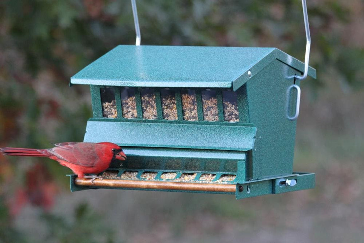 Metal Hanging/Post-Mount Squirrel-Resistant Hopper Bird Feeder - 15-Lb