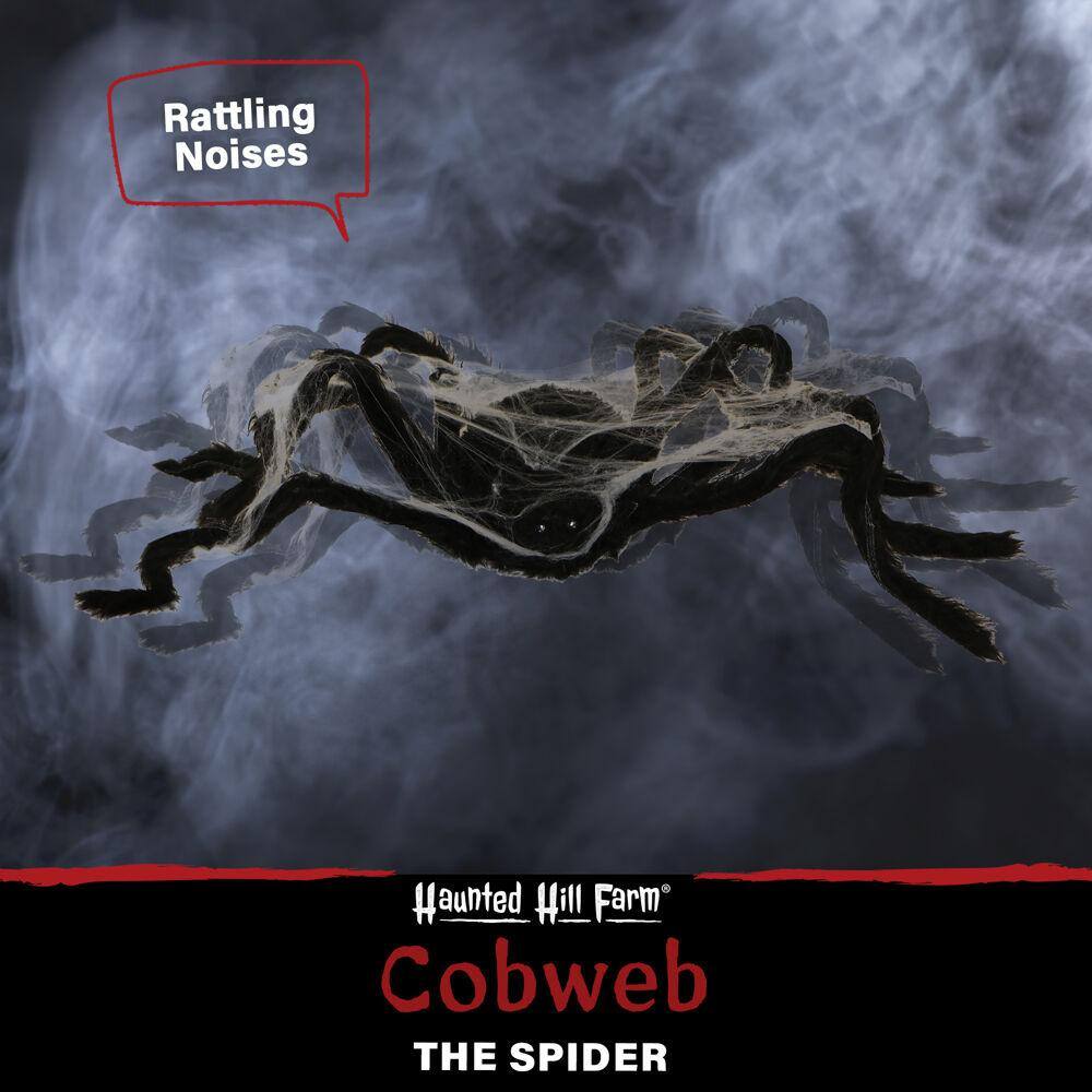 Haunted Hill Farm  3.5 in. Battery Operated Spider with Web and Red LED Eyes Halloween Prop